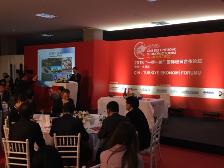 2015国际经贸合作论坛